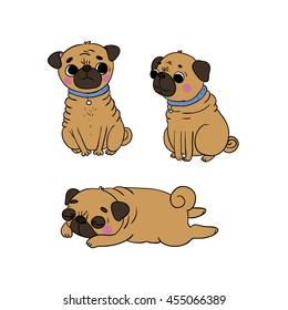 Cute Pugs. Dogs. Hand drawing isolated objects on white background. Vector illustration.