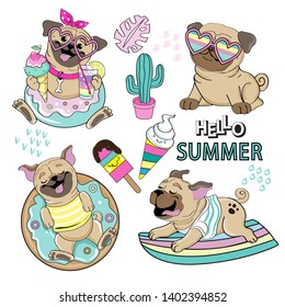 Cute pugs on summer collection on white background