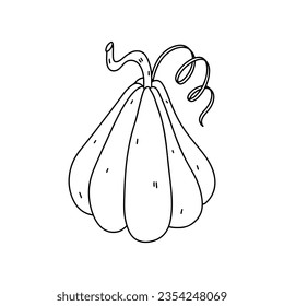 Cute pumkin. Hand drawn doodle style. Vector illustration isolated on white. Coloring page. Thanksgiving.