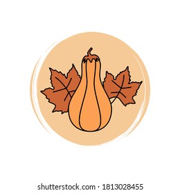 Cute Pumpkin butternut squash icon vector, illustration on circle with brush texture, for social media story and instagram highlights	