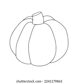 Calabaza cutánea Con la imagen de las páginas de libros de color,Dibujo de la línea de calabaza,Dibujo del vector del contorno de calabaza,Dibujo de la línea vectorial de calabaza,Dibujo de la línea de calabaza