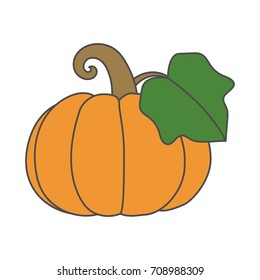 Cute pumpkin design in white background.