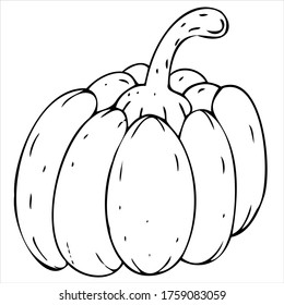 cute pumpkin, doodle vector decorative element for halloween celebration, black outline
