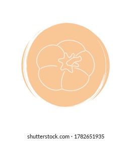 Cute Pumpkin icon vector, illustration on circle with brush texture, for social media story and instagram highlights