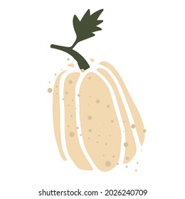 Calabaza suave aislada en el fondo blanco. Elemento para el diseño decorativo de otoño, invitación a halloween, acción de gracias de cosecha. Ilustración del vector
