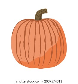 Kürbis einzeln auf Weiß. Herbsternte, Innen- oder Thanksgiving-Tagesdesign-Element. Vektorgrafik