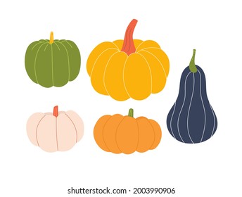 Cute pumpkin set. Autumn vegetables collection. Vector illustration.