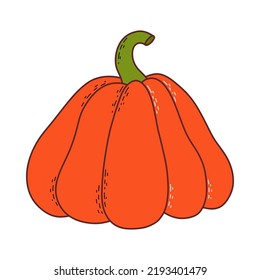 Cute pumpkin. Thanksgiving and halloween element. Vector illustration in hand drawn style