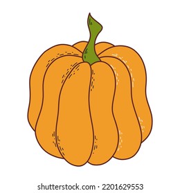 Cute pumpkin. Thanksgiving and halloween element. Vector illustration in hand drawn style