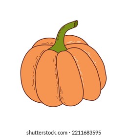 Cute pumpkin. Thanksgiving and halloween element. Vector illustration in hand drawn style