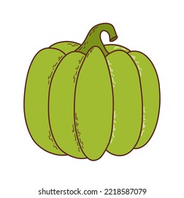 Cute pumpkin. Thanksgiving and halloween element. Vector illustration in hand drawn style