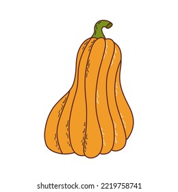 Cute pumpkin. Thanksgiving and halloween element. Vector illustration in hand drawn style