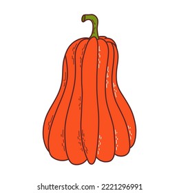 Cute pumpkin. Thanksgiving and halloween element. Vector illustration in hand drawn style