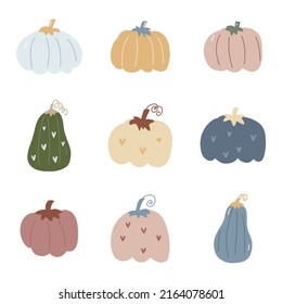 Cute pumpkins set. Pink pumpkin, blue pumpkin. Autumn seasonal harvest blessing thanksgiving holidays illustration. Hand painted vector isolated on white background.