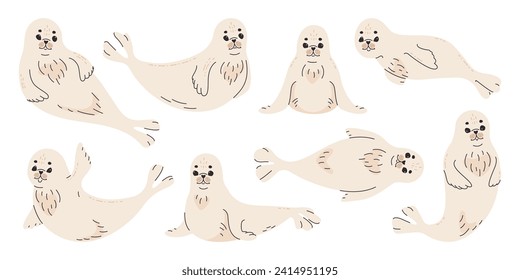 Cute pup seal in various poses set. Vector flat illustration on white background.