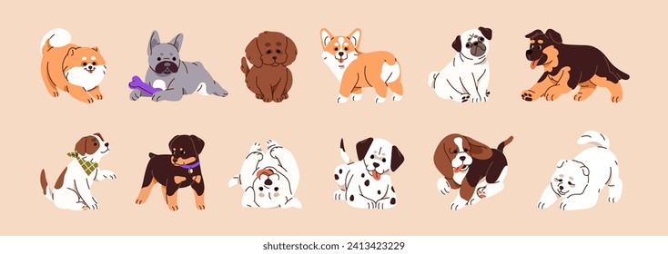 Cachorros de diferentes razas. Varios adorables cachorros de puré. Perros pequeños divertidos, animales felices. Corgi, francés, bulldog, labrador, pastor, spitz pomerano. Ilustraciones vectoriales aisladas planas