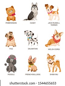 Cute puppies. Funny dogs of different breeds. Cartoon pomeranian, husky and terrier, pug and poodle, bulldog and dalmatian vector puppy home character