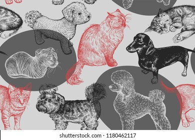Cute puppies and kittens seamless pattern. Home pets background. Sketch. Vector illustration art. Realistic portraits of animal. Vintage. Black, gray and red hand drawing of dogs and cats.