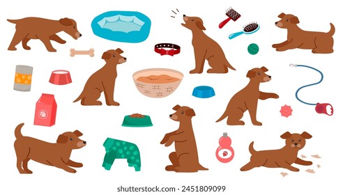 Cute puppies and pet products - food, toys, bed. Set of cute colorful elements on the theme of dogs and caring for them. Vector illustration.