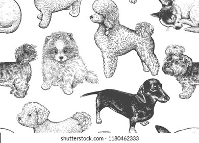 Cute puppies seamless pattern. Home pets background. Sketch. Vector illustration art. Realistic portraits of animal. Vintage. Black, white and blue hand drawing of dogs.