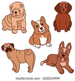 Cute puppies. Vector set with young pug, corgi, shar pei, dachshund and Australian kelpie