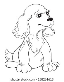 Cute puppy