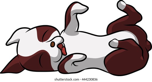 a cute puppy