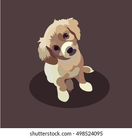 cute puppy