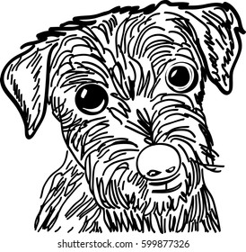 Cute puppy