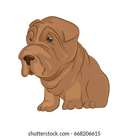 cute puppy