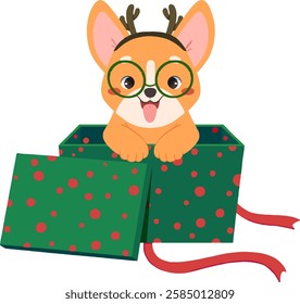 Cute puppy appears from inside the Gift
