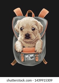 adorable cachorro en la ilustración de la mochila