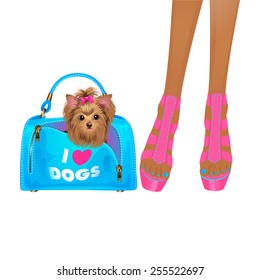 Cute puppy in bag and female slim legs in sandals. Isolated vector illustration.