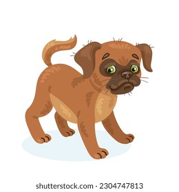 Cute puppy of the Belgian Griffon breed. Petit Brabancon. In cartoon style. Isolated on white background. Vector flat illustration.