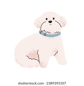 Hübscher Welpe der Bichon-Rasse. Hübscher Spielzeughund, Begleiter Hund. Frische, schwammige, faule Paprika mit lockigem Haar. Süße, hübsche kleine Hunde sitzen. Flache Vektorgrafik einzeln auf weißem Hintergrund