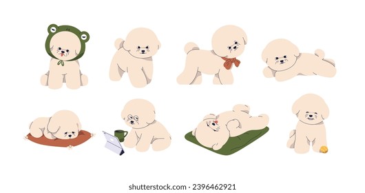 Cute puppy of Bichon frise breed. Funny dogs, little canine animals, toy doggies set. Sweet pups walking, lying, sleeping, playing, relaxing. Flat vector illustrations isolated on white background