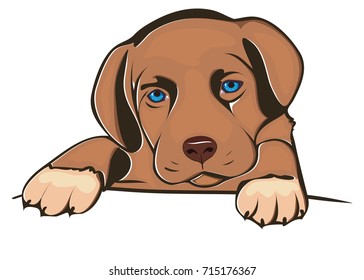 Cute puppy with blue eyes. Vector Illustration.