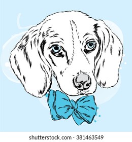 Cute puppy with a bow. Dog vector.