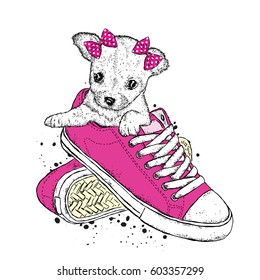 A cute puppy with a bows sits in sneakers. Vector illustration. Beautiful dog.