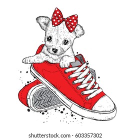A cute puppy with a bows sits in sneakers. Vector illustration. Beautiful dog.