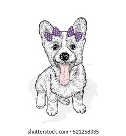 Cute puppy in the bows. Vector illustration.  Welsh-Corgi-Pembroke.