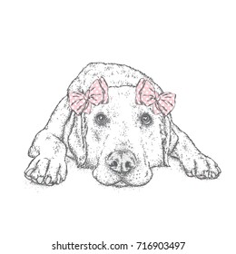 Cute puppy with bows. Vector illustration for a postcard or a poster, print for clothes. Pedigree dog. Labrador.