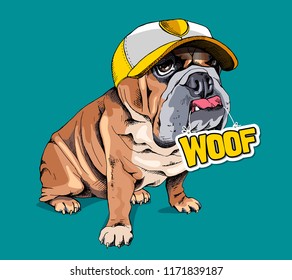 Cute puppy Bulldog in a yellow cap and with a sign "Woof" on a green background. Humor card, t-shirt composition, hand drawn style print. Vector illustration.