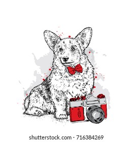A cute puppy and a camera. Vector illustration for a postcard or a poster, print for clothes. Pedigree dog. Welsh Corgi.