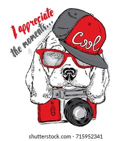 Cute puppy in a cap and with a camera. Vector illustration for card or poster, print on clothes. Pedigree dog. Beagle.