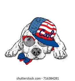 Cute puppy in a cap and glasses. Vector illustration for a postcard or a poster, print for clothes. Pedigree dog. Labrador. USA, America.