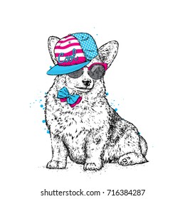 Cute puppy in a cap and glasses. Vector illustration for a postcard or a poster, print for clothes. Pedigree dog. Welsh Corgi.