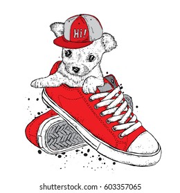 A cute puppy in a cap sits in sneakers. Vector illustration. Beautiful dog.
