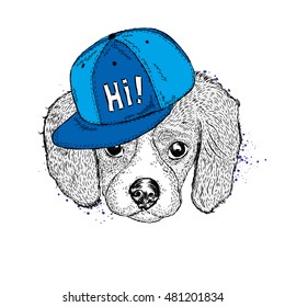 Cute puppy with a cap. Vector illustration for a card or poster. Print on clothes. Dog. Pet. Fashion & Style.
