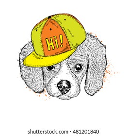 Cute puppy with a cap. Vector illustration for a card or poster. Print on clothes. Dog. Pet. Fashion & Style.